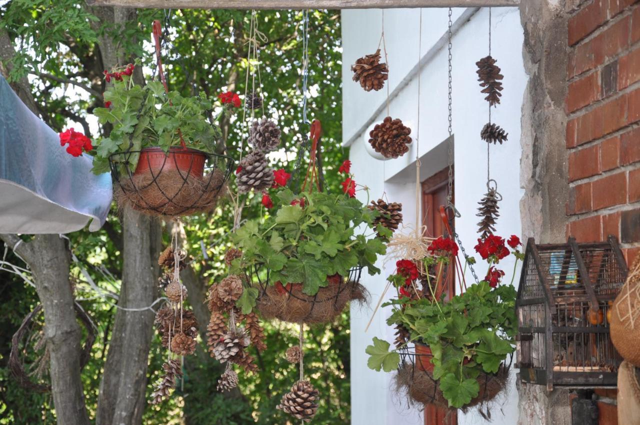 Vila Lena Meduvrsje Exteriör bild