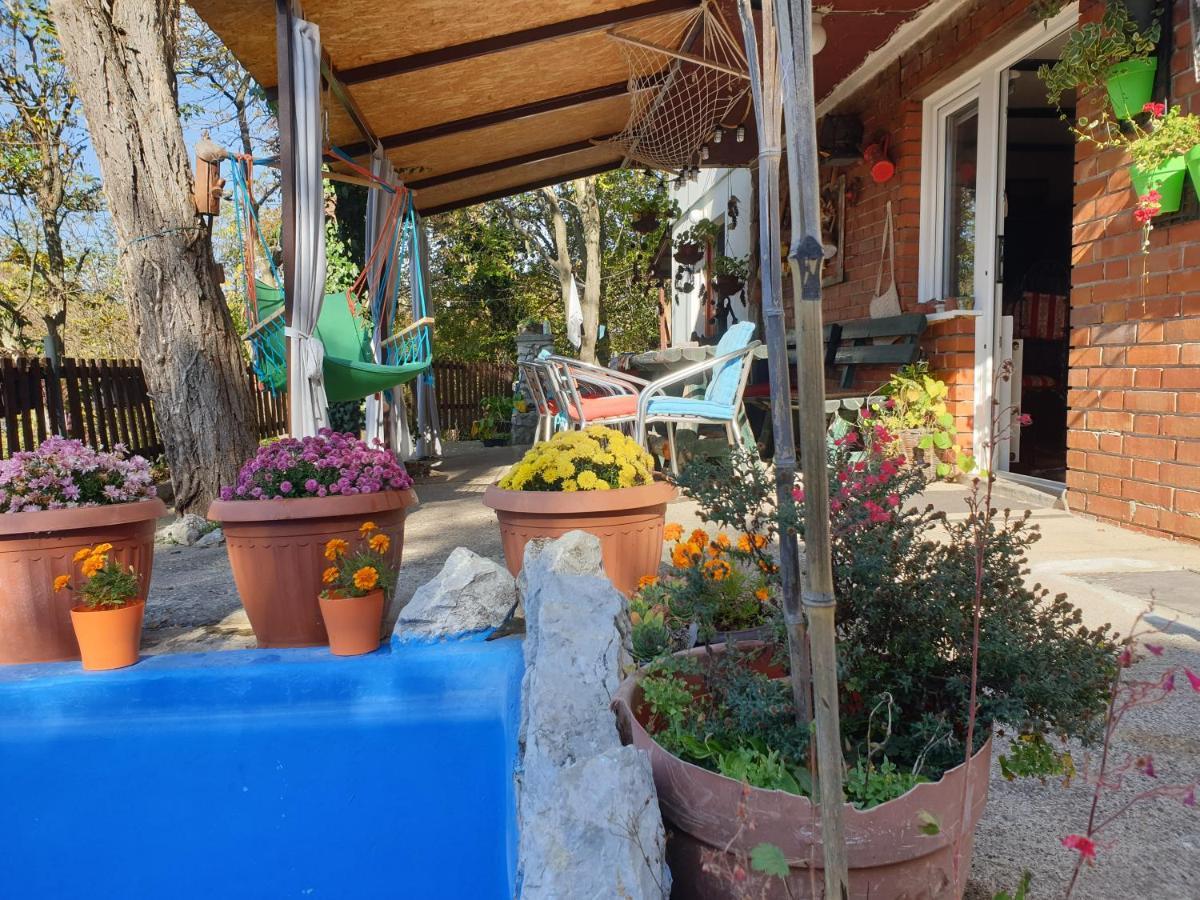 Vila Lena Meduvrsje Exteriör bild